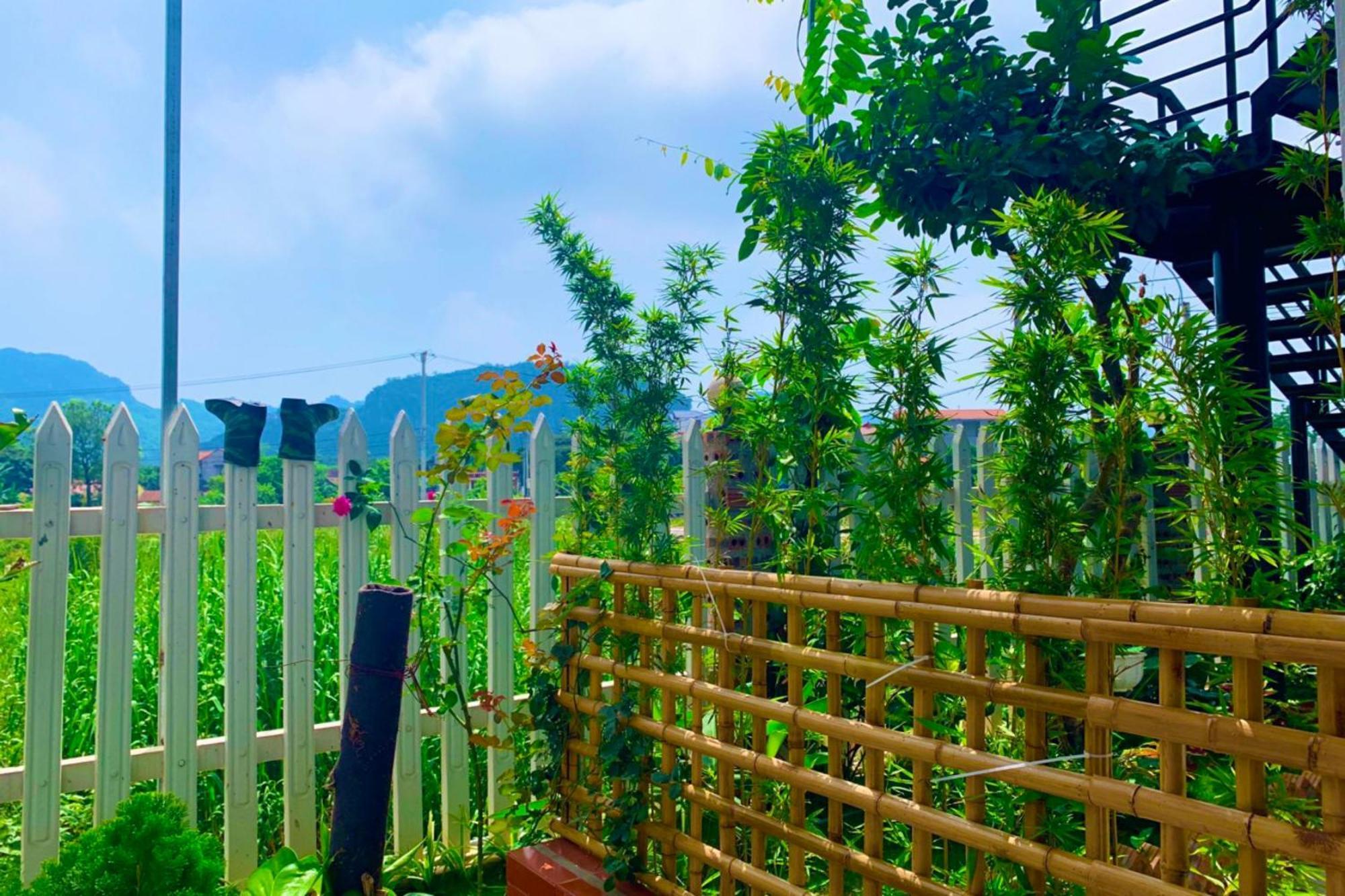 Bed and Breakfast The Pineapple House Ninh Binh Exterior foto